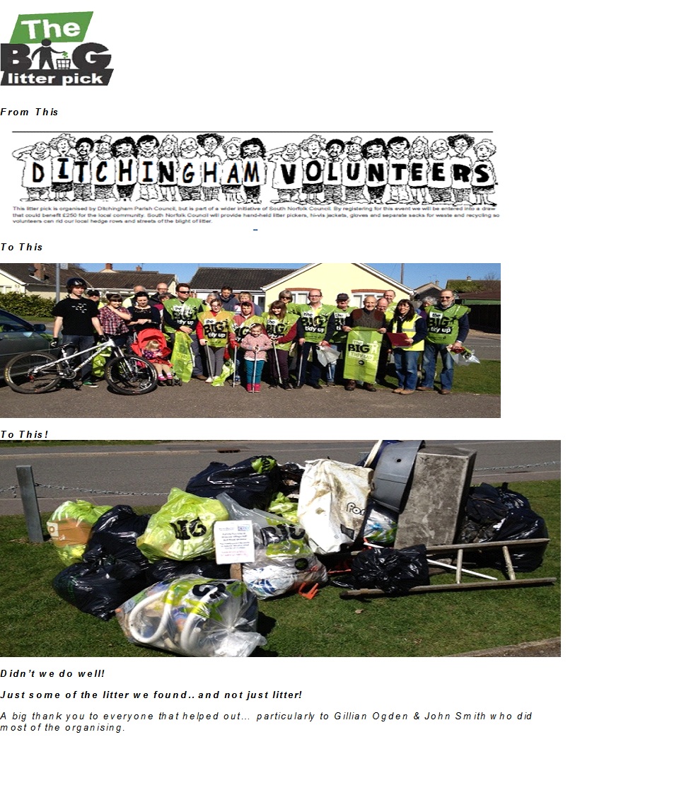 The Big Litter Pick in 2013
