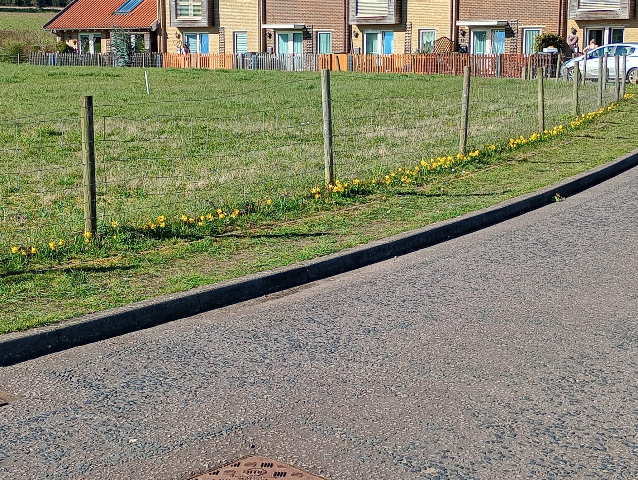Ditchingham’s Community Orchard – March 2026 – Ditchingham Parish Council